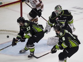 Edmonton Oil Kings goaltender Dylan Myskiw (31) watches the puck in a recent game at Rogers Place, where his team has won its last seven straight. (File)