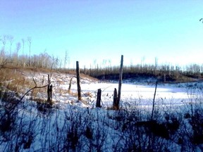 Alberta has a lengthy 4 1/2-month ruffed grouse hunting season. Neil Waugh/Edmonton Sun