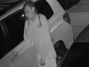 Edmonton police are looking to identify a suspect wanted in a northeast Edmonton arson and vehicle break-in that occurred in June.(Police handout photo)