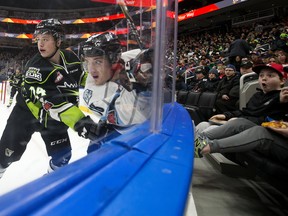 A young hockey fan (right) reacts as the Edmonton Oil Kings' Brett Kemp (24) battles the Kootenay Ice's Vince Loschiavo (18) during second period WHL action at Rogers Place, in Edmonton Friday Nov. 24, 2017. Photo by David Bloom Photos for copy running Saturday, Nov. 25.