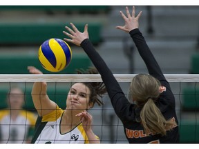 University of Alberta Pandas Jess Stroud hits the ball past Thomson Rivers Wolfpack's Gabriela Podolski during women's volleyball playoff action on Friday, Feb. 22, 2019, in Edmonton.