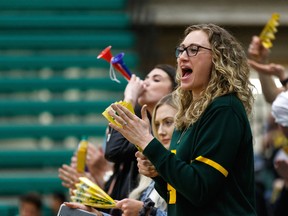 Fans of the University of Alberta Pandas celebrate their win over the University of Toronto's Varsity Blues during a U-Sports volleyball championship quarter-final game at Saville Centre in Edmonton, on Friday, March 15, 2019.