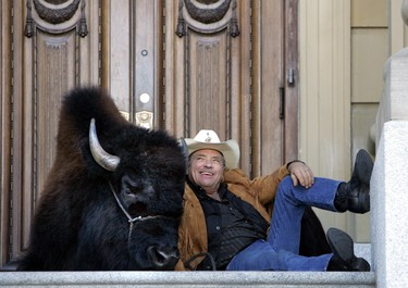 Bailey Buffalo jr sits on the steps of the Legislature in Edmonton on Wednesday September, 17, 2010.   Bailey's owner Jim Sautner had brought the buffalo for a photo op to raise money for the United Way. PERRY MAH/EDMONTON SUN