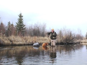 Neil casts a line on west central Alberta's North Raven River. Neil Waugh/Edmonton Sun