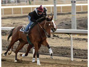 Jockeys Wilmer Galviz (foreground in red helmet) rides Yeah I Got This and Rafael Zenteno Jr. (back) rides Burbank Rose during an exercise session at Century Mile Racetrack near Edmonton, on Thursday, April 18, 2019.