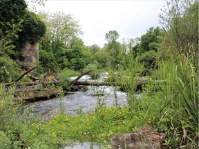 The Sieve River is a classic Tuscan trout stream. Neil Waugh/Edmonton Sun