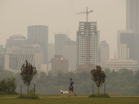 A person walks their dog as smoke blankets the city from nearby wildfires, in Edmonton on Thursday, May 30, 2019.