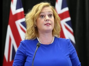 Lisa MacLeod, Ontario's Minister of Tourism, Culture and Sport, is seen here at Queen's Park in Toronto on Thursday March 21, 2019. (Dave Abel/Toronto Sun)
