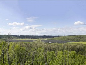 A rendering of the proposed solar farm at the E.L. Smith water treatment centre. This view is looking west from a recreational trail across the river.