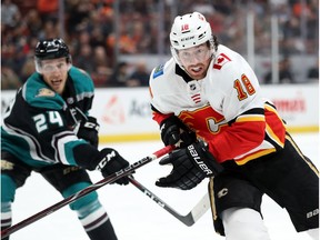 Carter Rowney #24 of the Anaheim Ducks pushes James Neal #18 of the Calgary Flames during the second period of a game at Honda Center on April 03, 2019 in Anaheim, California.