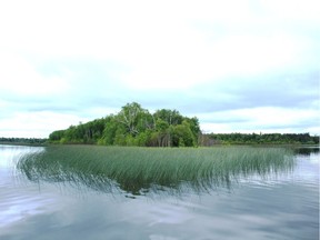 Prime pike water on Lessard Lake. Neil Waugh/Edmonton Sun