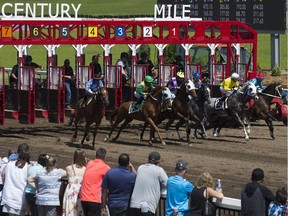 Race fans watch the first race of the day at the Century Mile racetrack, in Edmonton Saturday July 13, 2019.