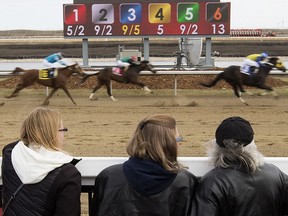Horse racing fans watch a race at the Century Mile Racetrack and Casino, in Edmonton Saturday May 4, 2019.