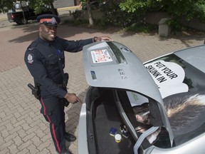 Constable Dexx Williams, EPS Cannabis Compliance Officer, launched a summer cannabis campaign to remind Edmontonians to keep their cannabis out of reach in their vehicles on June 18, 2019. Photo by Shaughn Butts / Postmedia