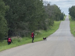 Edmonton Police and Search and Rescue personnal conducted a ground search at the four properties surrounding a rural intersection north of Beaumont on August 10, 2019. The investigation is for the disappearance on June 8, 2019 of Patricia Pangracs.