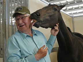 A horse named "Whoop It Up" licks the face of Duane Harden, one of the horse's owners, in the stable at Century Mile Racetrack on Wednesday August 14, 2019. The cheap claimer, bought by one hundred members of the Century Racing Club, has won his last four races and got nominated for the $100,000 Oaks race.