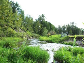 A mellow corner of West Central Alberta's Dogpound Creek. Neil Waugh/Edmonton Sun