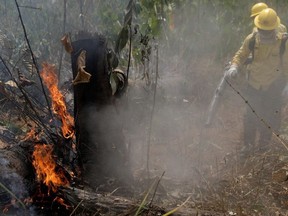 Firefighters extinguish a fire in Amazon jungle in Porto Velho, Brazil August 25, 2019.