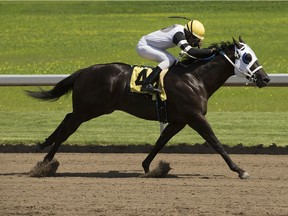 Jockey Rico Walcott rides Shanghai Mike to victory at the Century Mile racetrack in Edmonton on July 13, 2019. The race was Walcott's first since returning from life threatening surgery.