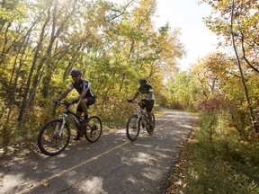 Cyclists ride through fall colours in Queen Elizabeth Park in Edmonton, Alta., on Monday, Sept. 22, 2014. Warm weather invited cyclists, runners and riders into Edmonton's river valley system on a warm fall day. Ian Kucerak/Edmonton Sun/ QMI Agency