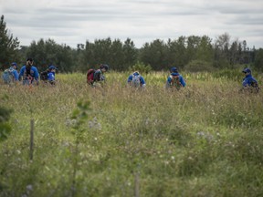 Edmonton Police and Search and Rescue personnel conducted a ground search at the four properties surrounding a rural intersection north of Beaumont on August 10, 2019. The investigation is for the disappearance on June 8, 2019 of Patricia Pangracs. Photo by Shaughn Butts / Postmedia