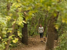 A woman walks her dog along a path covered in fall leaves near Highlands Golf Club in Edmonton, on Friday, Sept. 6, 2019.