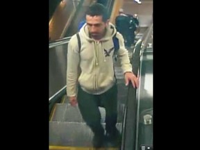 Edmonton police have released photos of a person of interest in connection to a series of alleged groping incidents reported in the river valley.