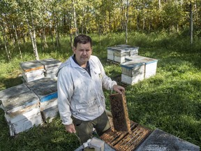 Beekeeper Richard Ozero who co-owns Good Morning Honey in Parkland County says low honey yields is thanks to a cold and wet summer on September 19, 2019.