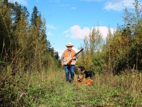 Neil with Penny, lying down, and Stella on a Pembina oil field grouse hunt.