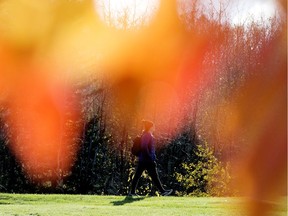 A pedestrian walks past the fall colours in Emily Murphy Park, in Edmonton Wednesday Oct. 9, 2019.