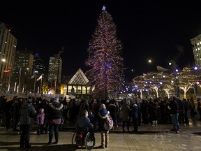 A small crowd gathers to watch the officially light up of the Downtown Business Association's Christmas Tree in Churchill Square, in Edmonton Friday Nov. 16, 2018. The 20 metre tall white spruce tree, weighs close to 2800 kg. Photo by David Bloom