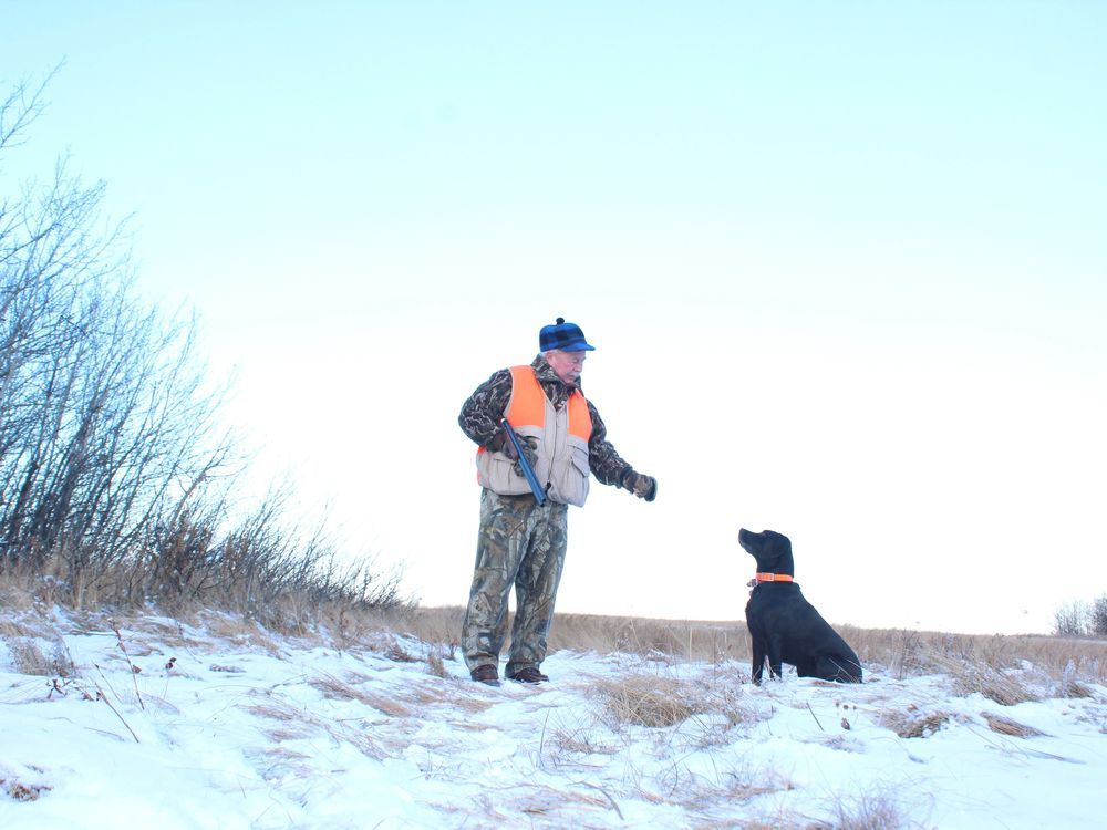 NEIL WAUGH OUTDOORS: Pheasants in snow - a portrait