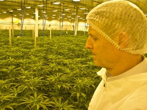 Alberta-based cannabis producer Sundial Growers announced a major shakeup of its executive team this week, the latest indication of mounting trouble within the newly legalized industry. Sundial Growers CEO Torsten Kuenzlen, seen here in a file photo, is stepping down along with the company's COO.