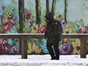 Longing for greener and more colourful days as a pedestrain walks past a downtown mural during the snow storm passing through Edmonton, January 8, 2020.