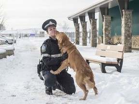 City of Edmonton animal control officer Brianne Grey on Friday, Jan. 10, 2020, with a golden retriever taken in this week after improper shelter was discovered for her and her three puppies. The animal control centre and the Edmonton Humane Society are reminding people to keep their own pets safe in cold weather