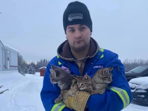Kendall Diwisch of Drayton Valley found these three kittens with their feet frozen in ice. He used hot coffee to melt the ice and rescue them.