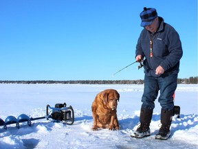 Neil Waugh's ice-angling dog Penny checks out his ice-fishing hole on Pigeon Lake southwest of Edmonton.