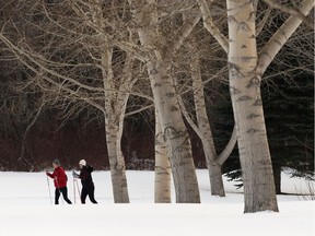 Cross country skiers exercise at Victoria Park Golf Course in Edmonton on Tuesday, Feb. 25, 2020.