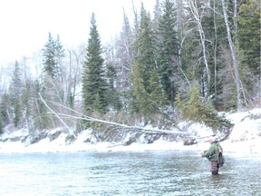 Emmerson Dober winter fly fishing on west central Alberta's Red Deer River (NEIL WAUGH)