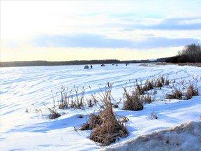 Ice anglers on Devil's Lake east of Onoway. Neil Waugh/Edmonton Sun