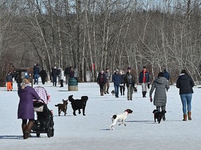 Alberta's success in containing COVID-19 can only continue if Albertans continue to practise social isolation, which means avoiding gathering in larger groups, even in local parks. Ed Kaiser/Postmedia