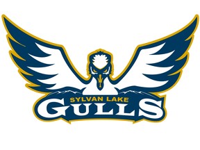 Sylvan Lake Gulls