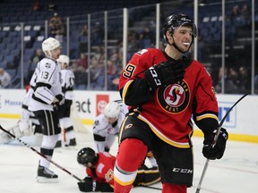 Calgary Flames forward prospect Luke Philp celebrates after scoring for the American Hockey League’s Stockton Heat earlier this season.