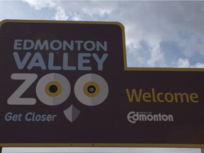 Staff who look after members of the cat family at the Edmonton Valley Zoo are now wearing masks to prevent the spread of COVID-19.
