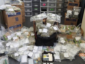 Edmonton police seized 4,643 grams of cannabis flower, 165 packages of edibles, 420 grams of shatter, 15 grams of cocaine, seven grams of crack cocaine, several THC vape pens, THC tincture and $9,515 in Canadian currency from an illegal online cannabis delivery operation on May 6.