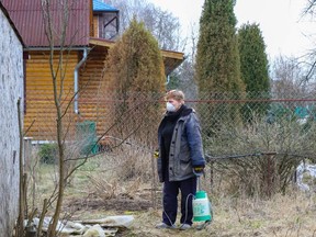 Liubov Kashaeva wearing a protective mask sprays antiseptic while tending plants at her family's country house near the town of Chekhov in Moscow Region, Russia March 29, 2020.