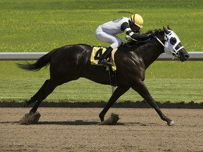 Jockey Rico Walcott rides Shanghai Mike to victory at the Century Mile racetrack on July 13, 2019.