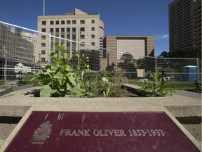 A plaque for Frank Oliver in Frank Oliver Park, Jasper Avenue and 100 Street, in Edmonton on June 23, 2020.