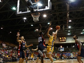 Edmonton Stingers forward Jordan Baker (8) is fouled by Fraser Valley Bandits' Clint Robinson (44) at Northlands Expo Centre in Edmonton on Aug. 1, 2019.