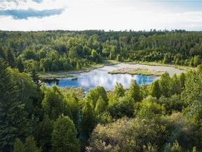 The Beaver Hills Biosphere has expanded to include three new parcels of land, including one donated by the Ball Berg family, pictured above. supplied/Postmedia